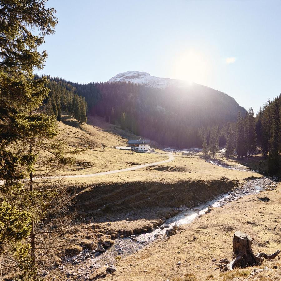 Вилла Rifugio Malga Ra Stua Кортина-д'Ампеццо Экстерьер фото