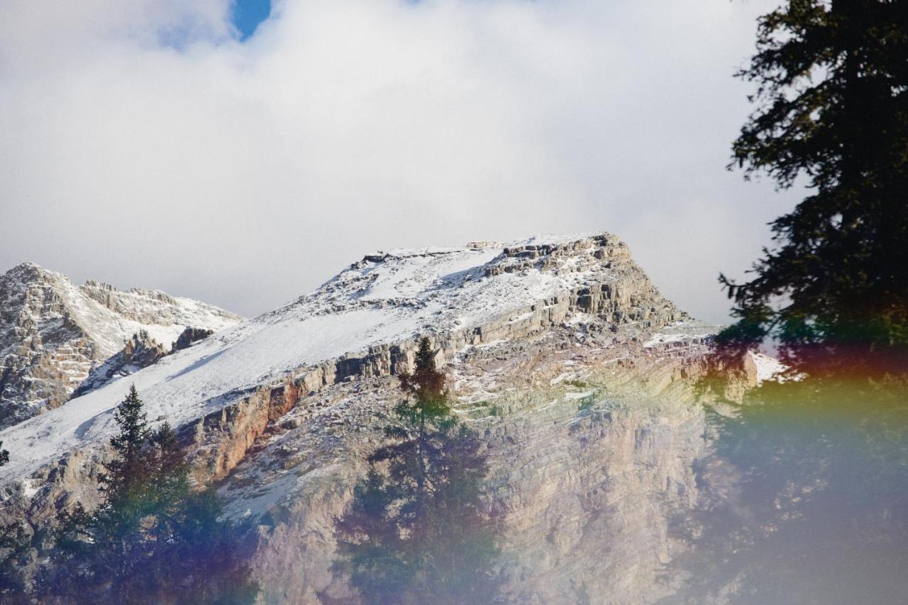 Вилла Rifugio Malga Ra Stua Кортина-д'Ампеццо Экстерьер фото