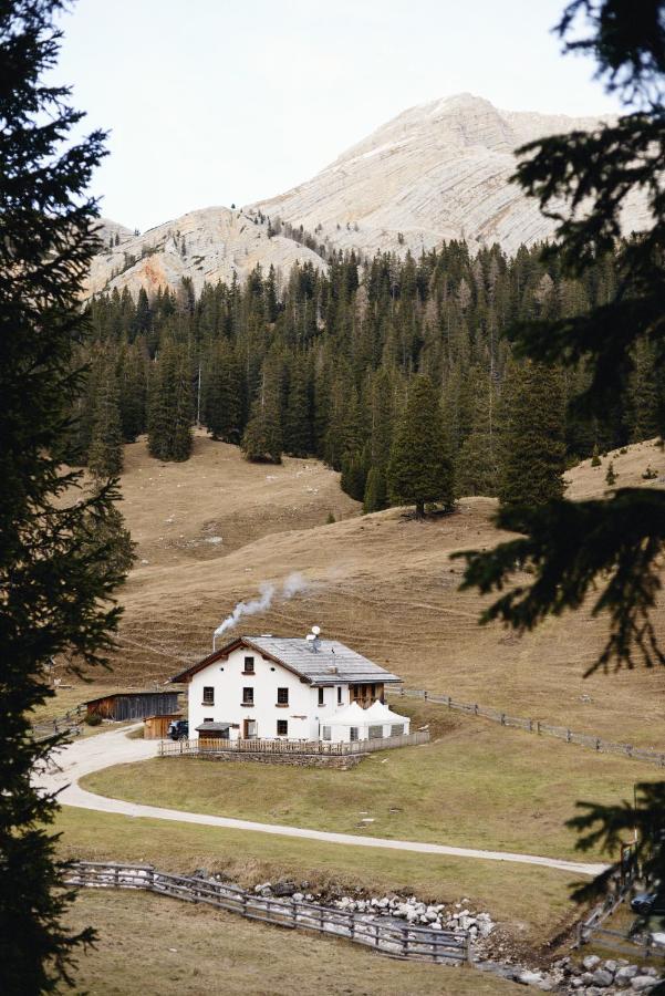 Вилла Rifugio Malga Ra Stua Кортина-д'Ампеццо Экстерьер фото