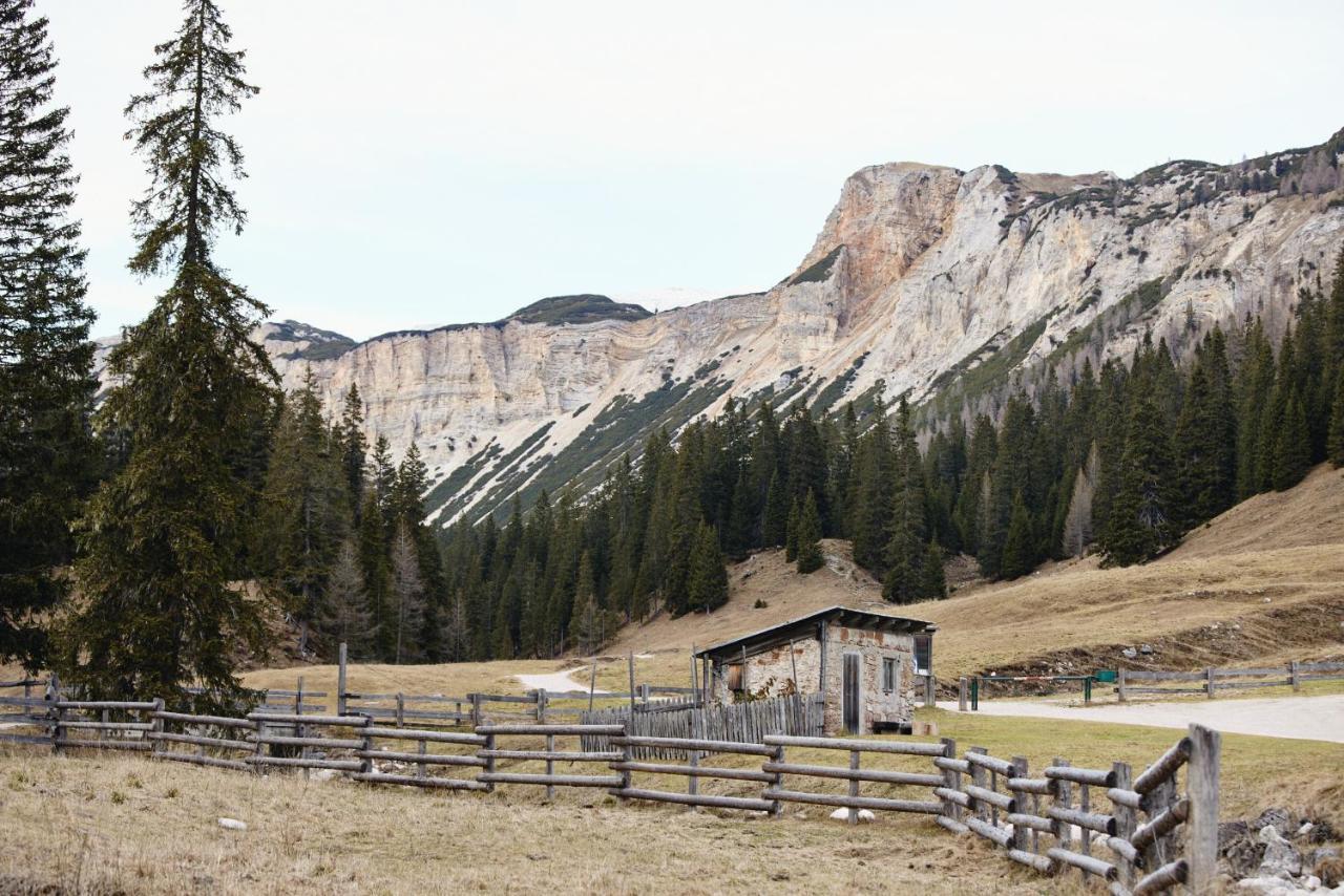 Вилла Rifugio Malga Ra Stua Кортина-д'Ампеццо Экстерьер фото